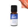 Golden Tobacco Fragrance Oil