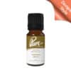 Vintage Spice Fragrance Oil