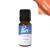Cherub Fragrance Oil