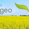 Augeo Crystal Vegan Base