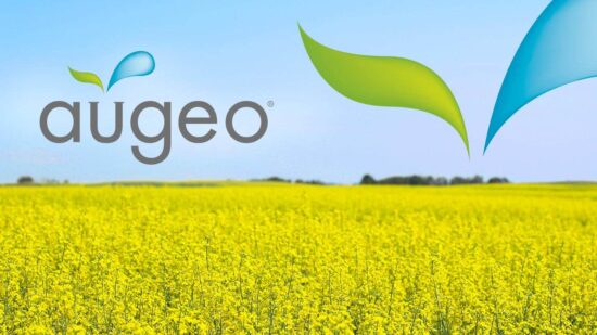 Augeo Crystal Vegan Base