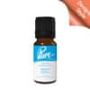 Beach Stroll Fragrance Oil
