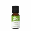 Mulberry & Thyme Fragrance Oil