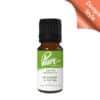 Mulberry & Thyme Fragrance Oil