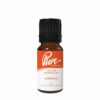 Pumpkin Fragrance Oil