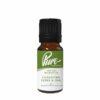 Forgotten Ferns & Oak Fragrance Oil
