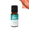 Golden Decadent Fragrance Oil