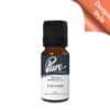 Explorer Fragrance Oil