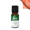 Cypress & Vine Fragrance Oil