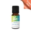 Unicorn Dust Fragrance Oil
