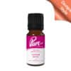 Cherub Nova Fragrance Oil