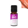 Electrify Fragrance Oil