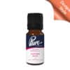 Eastern Noir Fragrance Oil