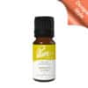 Hibiscus Glow Fragrance Oil
