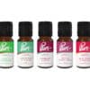 Apple Fragrance Oil Pack 5 x 10ml