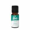 Festive Memories Fragrance Oil