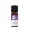 Seasons Greetings Fragrance Oil