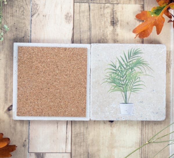 Areca Palm - Natural Travertine Stone Coasters