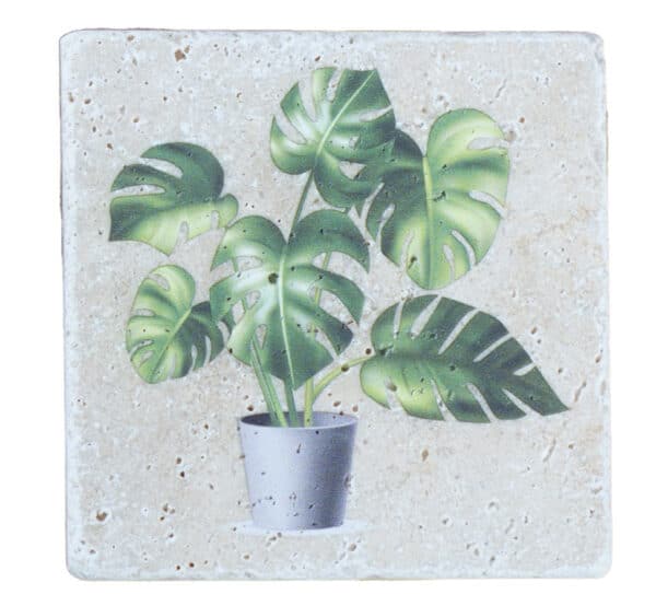 Monstera - Natural Travertine Stone Coaster