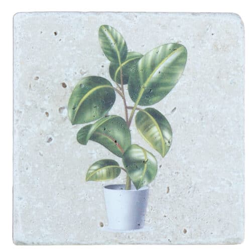 Rubber Plant - Natural Travertine Stone Coaster