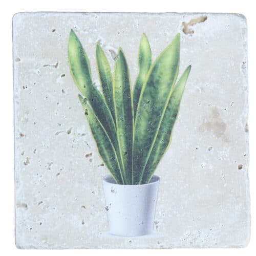 Snake Plant - Natural Travertine Stone Coaster