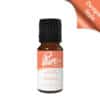 Bum Bum Fragrance Oil