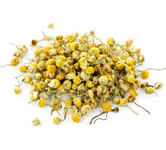 Chamomile Matricaria