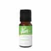 Margarita Fragrance Oil