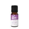 Let's Take An Elfie Fragrance Oil
