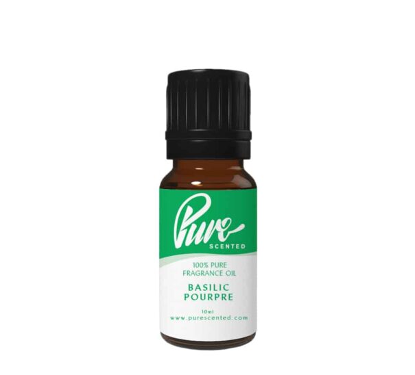 Basilic Pourpre Fragrance Oil