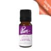 Lavender & Blue Fern Fragrance Oil