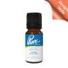 Three Witches Fragrance Oil