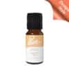 Vanilla Silk Fragrance Oil