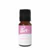 Sweet Luxe Fragrance Oil