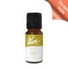 Desert Gold Fragrance Oil