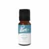 Winter Rain Fragrance Oil