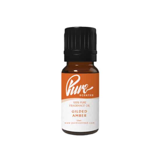 Gilded Amber Fragrance Oil