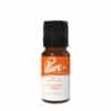 Blossom Amber Fragrance Oil